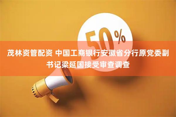茂林资管配资 中国工商银行安徽省分行原党委副书记梁延国接受审查调查