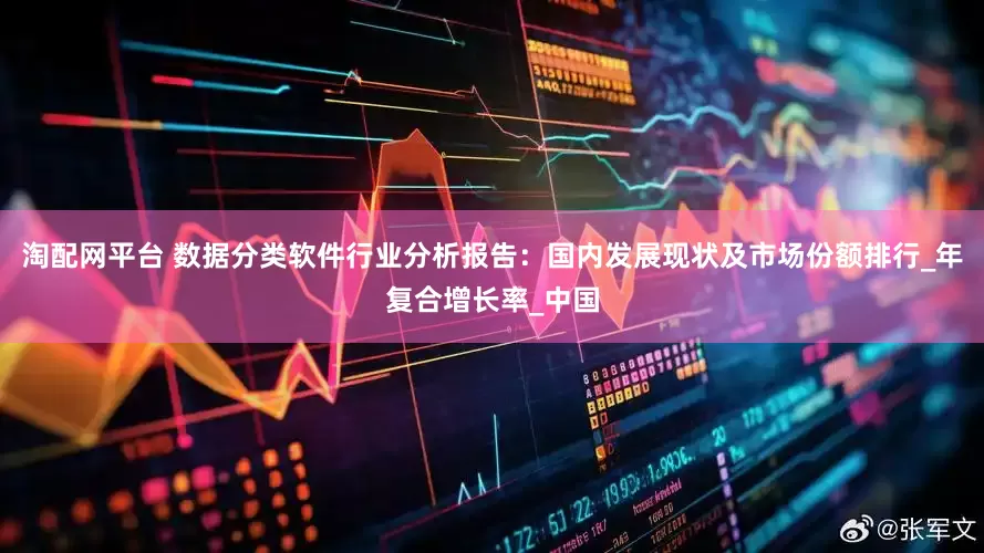 淘配网平台 数据分类软件行业分析报告：国内发展现状及市场份额排行_年复合增长率_中国