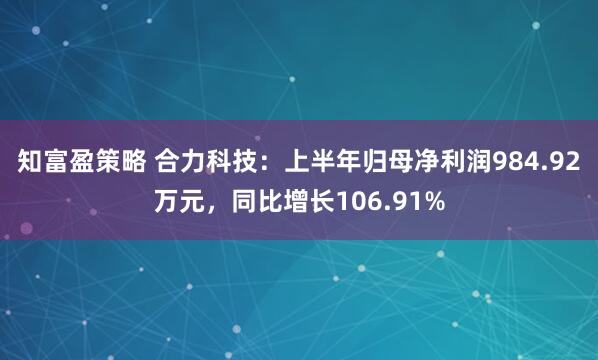 知富盈策略 合力科技：上半年归母净利润984.92万元，同比增长106.91%