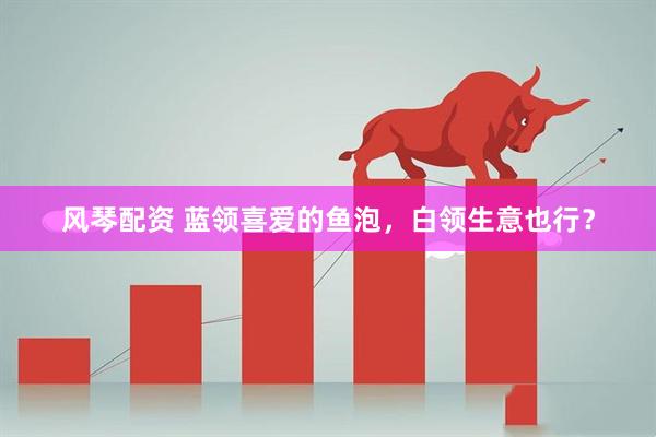 风琴配资 蓝领喜爱的鱼泡，白领生意也行？