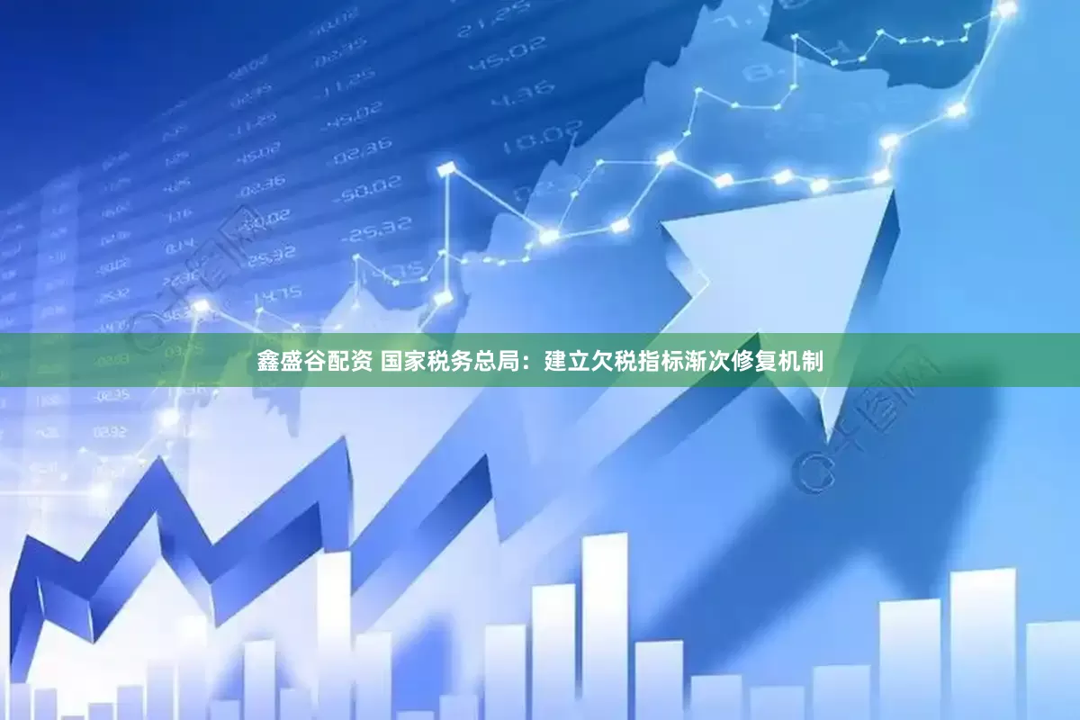 鑫盛谷配资 国家税务总局：建立欠税指标渐次修复机制