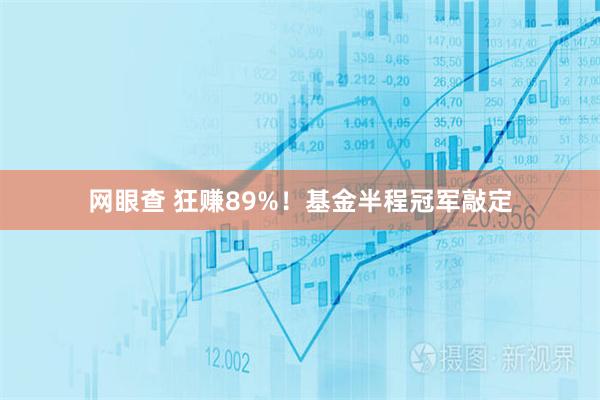 网眼查 狂赚89%！基金半程冠军敲定
