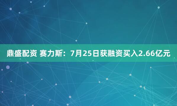 鼎盛配资 赛力斯:7月25日获融资买入2.66亿元